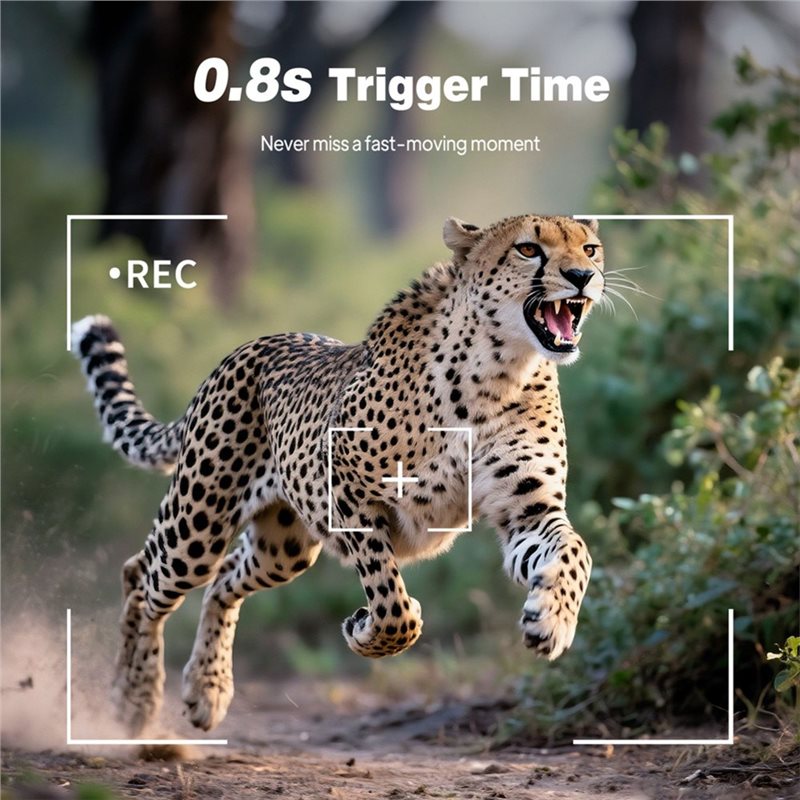 Outdoor Trail Hunting Camera 1 - огляд і ціна Trail Camera Infrared