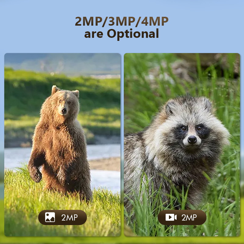 4G 4MP Outdoor Wildlife Huntin - огляд і ціна Hunting Outdoor Game