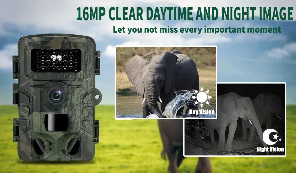 PR700 Outdoor Trail Camera, In - огляд і ціна Trail Camera Infrared